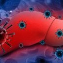 Вирусный гепатит убивает больше людей, чем ВИЧ, туберкулез и малярия