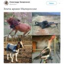 В сети смешными фото жестко высмеяли боевиков ДНР-ЛНР