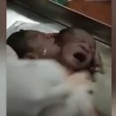 Невероятно: В Индии родился ребенок с двумя головами (видео)