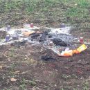 В Одесской области сатанисты сожгли человека