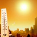 2017 год стал одним из самых теплых за всю историю наблюдений