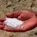Медики назвали безопасную дозу соли для человека