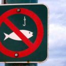 В Киеве вводят запрет на ловлю рыбы