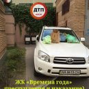 У Києві “герою парковки” залишили неприємні “подарунки”