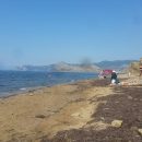 Туристів завалило водоростями: нові сумні фото з Криму
