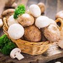 Медики объяснили, какие грибы необходимо есть регулярно