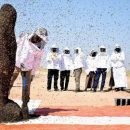 В Саудовской Аравии единственная пчела сорвала мировой рекорд