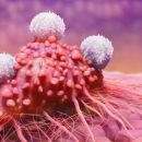 Популярные таблетки способны убить рак: ученые сделали прорыв