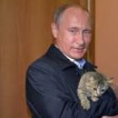 Российские комики высмеяли пропагандистский сюжет про Путина