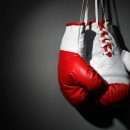 Качественные перчатки для бокса в интернет-магазине “Sportgo”
