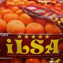 В Украину не пропустили зараженные мандарины и апельсины из Турции и Египта