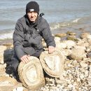 Специалисты ломают головы: на берегу Днепра выявлены странные камни (фотофакт)