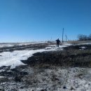 В Луганской области боевики обстрелом сорвали ремонт поврежденной ЛЭП
