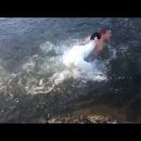 В Херсоне агрессивный лебедь побил мужчину на озере (видео)