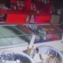 Крыса ограбила ювелирный магазин в Индии (видео)
