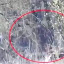 ООС: снайпер ВСУ ликвидировал пулеметчика в «зеленке» (видео)