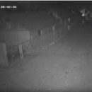 Кадры массового побоища ромов на Закарпатье (видео)