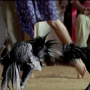Легендарные спецэффекты индийского кино, которые вызовут приступ смеха