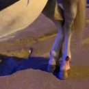 Израненную лошадь заставляют катать туристов в одесской Аркадии