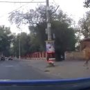 В Одессе полицейские на ходу остановили коня