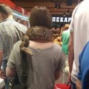 Всегда под охраной: в Мариуполе женщина ездит в маршрутке и ходит в магазины с крупной змеей на шее