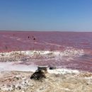 Знаменитое розовое озеро на украинском курорте может исчезнуть: в сети показали фото