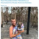 Пожары в Австралии: в сети делятся фото пострадавших и погибших животных