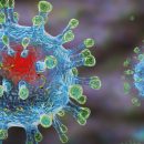 Захоронение умерших от коронавируса: МОЗ разработало инструкцию