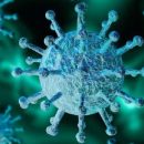 Может повреждать мозг: ученые раскрыли новый факт о коронавирусе