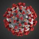 Не опасен для молодых и здоровых: в ВОЗ опровергли популярное заблуждение о коронавирусе