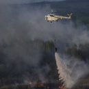 Задержан поджигатель, устроивший масштабный пожар в Чернобыльской зоне