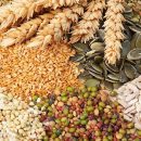Лучшие условия купли-продажи зерновых в Украине