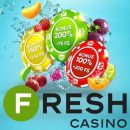 Fresh Casino: играй и заводи новых друзей в мире азарта